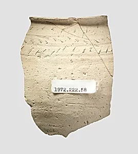 Bowl rim sherd