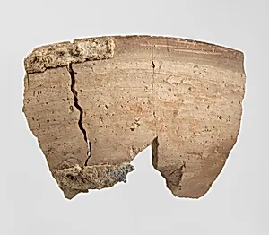 Bowl sherd