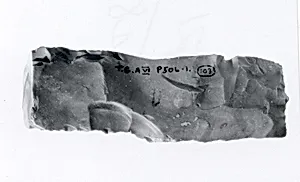 Chisel