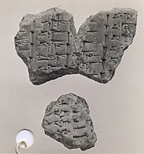 Cuneiform tablet: fragment of Syllabary A