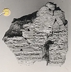 Cuneiform tablet: im-ma-al-(la) gu de-de, balag
