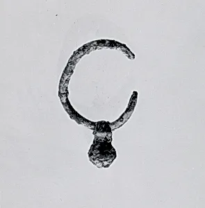 Earring