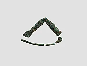 Fibula