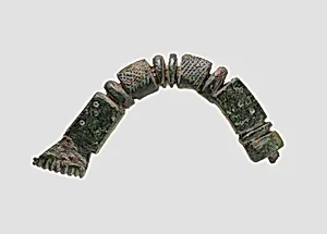 Fibula fragment