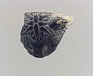 Lion head fragment