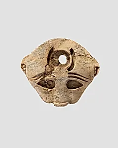 Lioness head