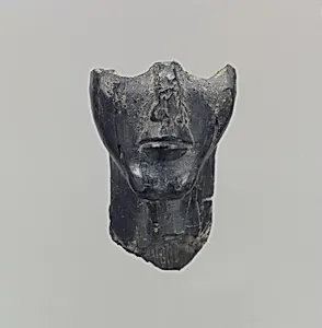 Lower half of a human head in the round