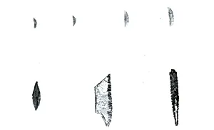 Microlith