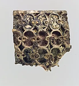 Plaque fragment
