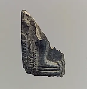 Plaque fragment