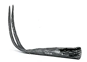 Rake