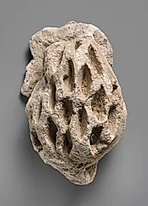 Relief fragment