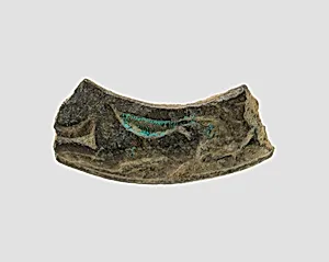Ring fragment