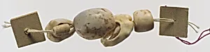 Shell beads