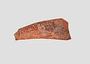 Sherd