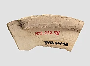 Sherd