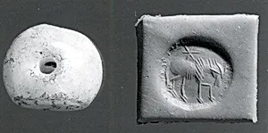 Stamp seal