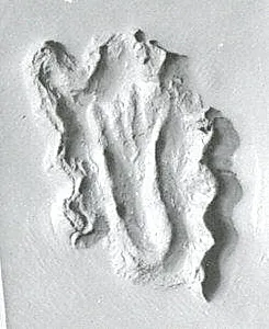 Stamp seal