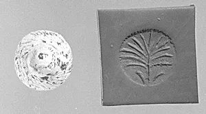 Stamp seal (conoid knob) with plant