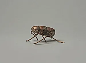 Animal Ornament