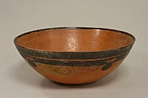 Bowl