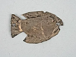 Costume Ornament