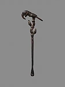Lime Spoon, Bird