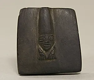 Mold, Head