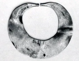 Nose ornament