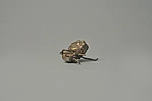 Spider Ornament