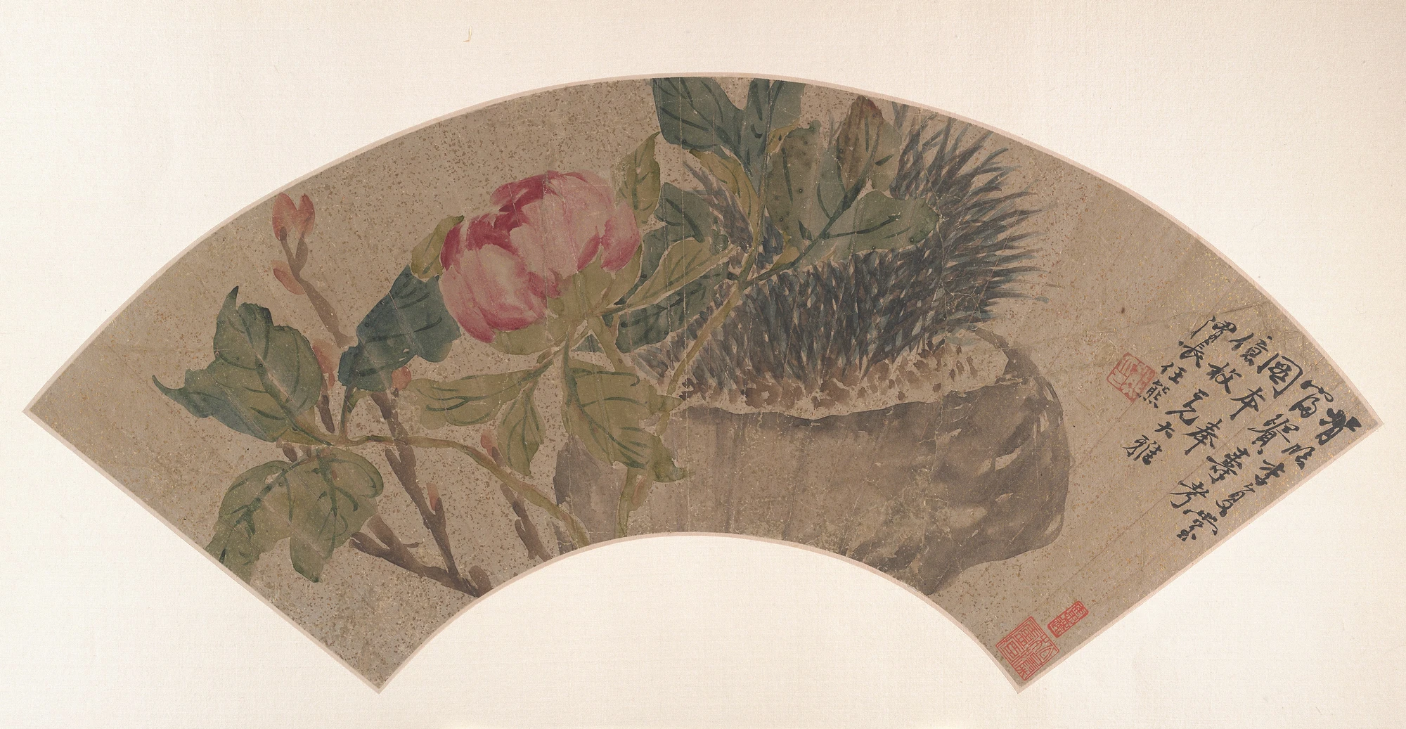 peony-49447.webp