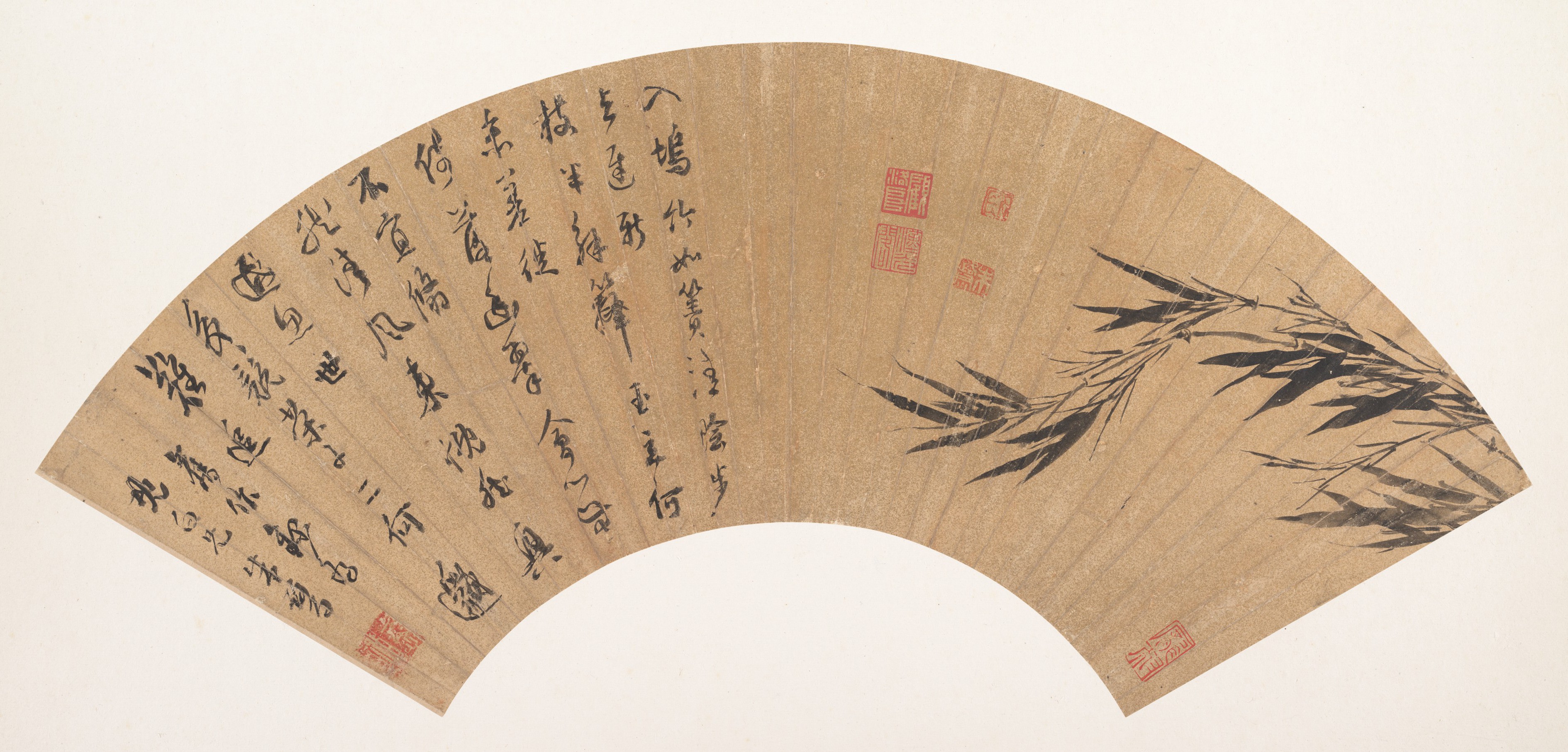 清任熊牡丹扇面|Peony - Ren Xiong