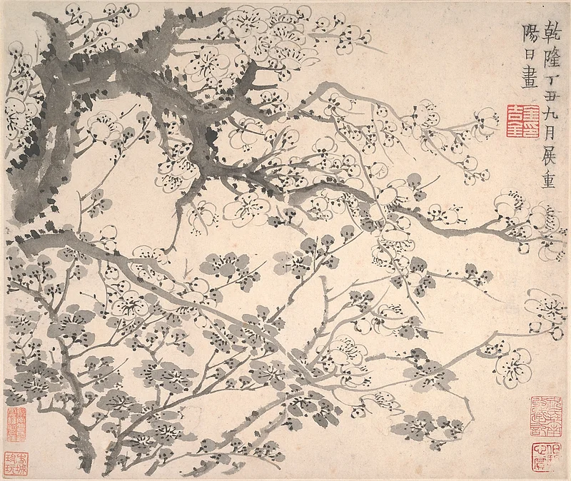 清 金農 墨梅圖 冊|Plum blossoms - Jin Nong