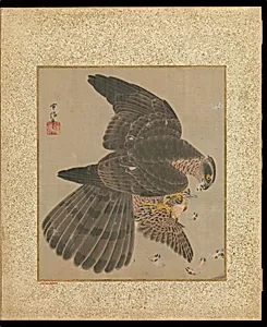 十鷹書画冊|Album of Hawks and Calligraphy