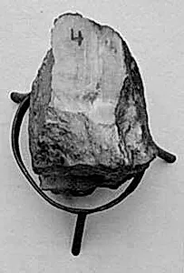 Fragment