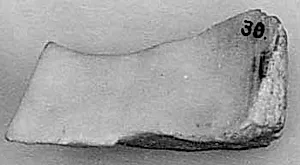 Fragment
