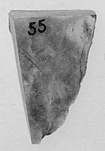 Fragment