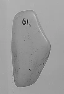Pebble