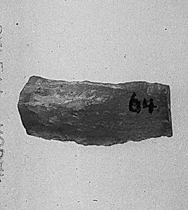 Fragment