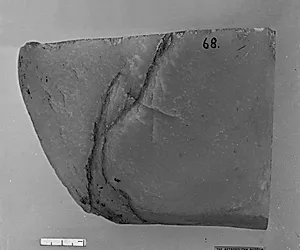 Fragment