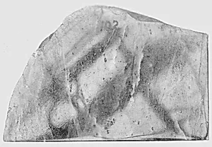 Fragment