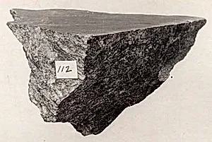 Fragment