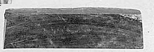 Fragment