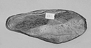Fragment