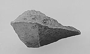Fragment