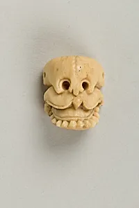 Skull