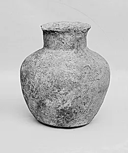 Jug