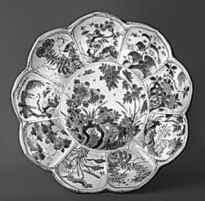 Dish