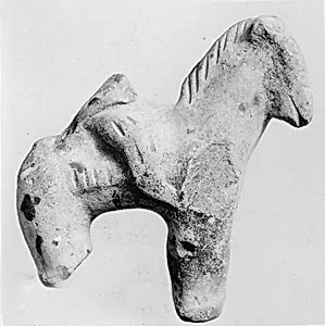 Fragment of a Horse