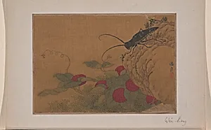 Grasshopper on Rock by Wen Liang